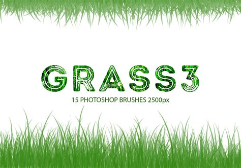 Grass Photoshop Brushes - (2,254 Free Downloads)