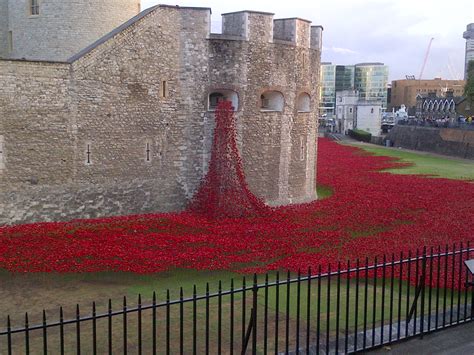 A beautiful, moving poppy display at the Tower of London