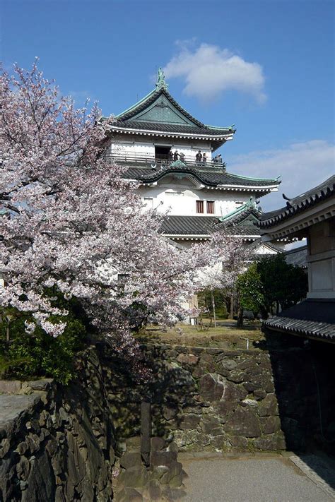 Wakayama Castle - Alchetron, The Free Social Encyclopedia