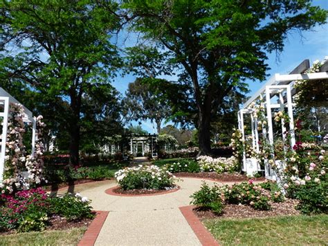 Old Parliament House Rose Garden Canberra | zad53 | Flickr