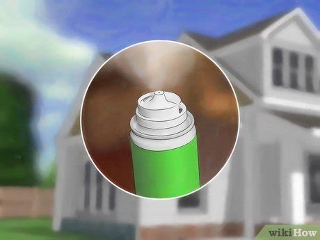 How to Flea Bomb a House: A Step-by-Step Guide