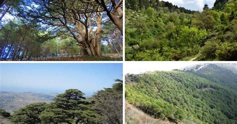 You Can Visit All Nature Reserves in Lebanon For Free Tomorrow!