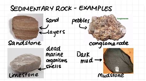 Sedimentary Rock Metamorphic Rock