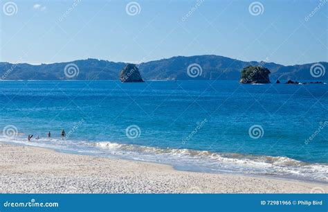 HAHEI, NEW ZEALAND - FEBRUARY 8 : a Summer Evening at Hahei Beach in New Zealand on February 8 ...