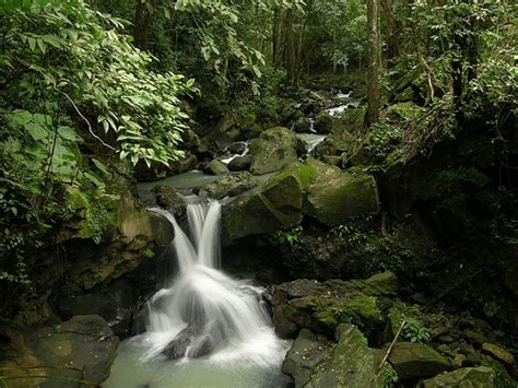 Mexico's Rain Forest | Best landscape photographers, Landscape photography, Alex noriega