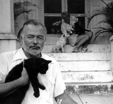 26 Interesting Vintage Photos of Ernest Hemingway With His Beloved Cats ~ Vintage Everyday