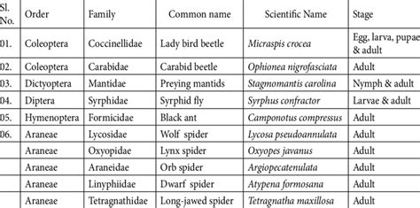 List of beneficial arthropods (natural enemies) species recorded... | Download Scientific Diagram