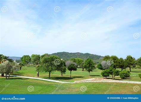 Green Grass on a Golf Field Stock Photo - Image of lifestyle, freedom ...