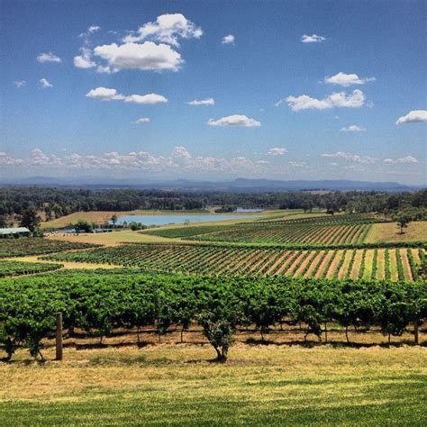 Audrey Wilkinson Vineyard | Hunter valley winery, Vineyard, Audrey wilkinson