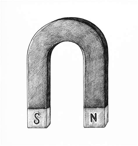 Hand-drawn horseshoe magnet illustration | free image by rawpixel.com ...