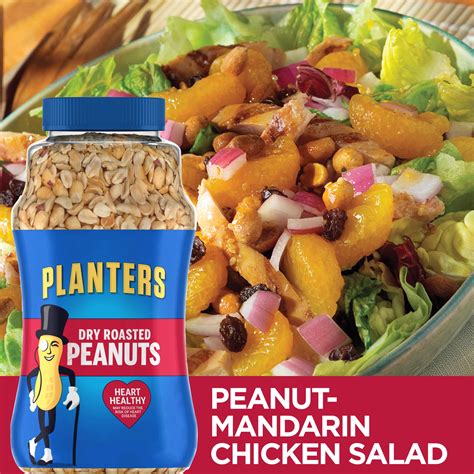 Planters Dry Roasted Peanuts 20 oz | Shipt