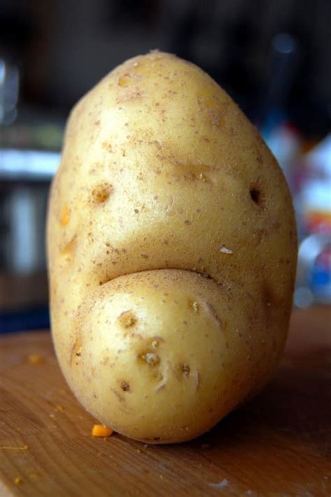 Sad potato – Funny picture