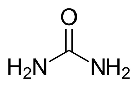 Sandoz chemical spill - WikiVisually