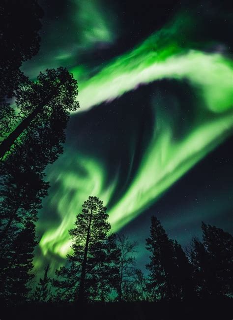 Aurora Storm in Ivalo Lapland Finland 27.09.2019 | Aurora Village, Ivalo Lapland Finland ...