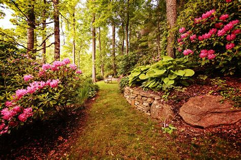 Banks Creek Landscape Design by Gardens for Living