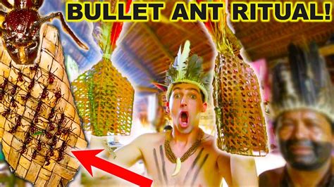 STUNG by 200 BULLET ANTS! *Bullet Ant Glove Ritual* - YouTube