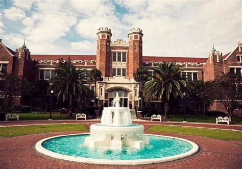 University of Florida Guide [Admission Overview] - Ivy Scholars