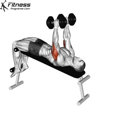 Teorija Relativnosti Obala Stresno Tricep Bench Press Kipar Autocesta Djetinjstvo | lupon.gov.ph