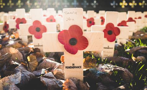 Remembrance Sunday 2023 | Public Practice Recruitment Ltd