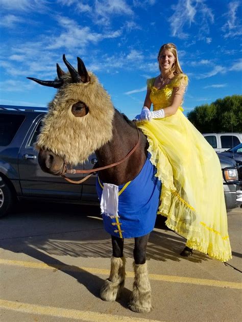 Beauty and the Beast | Horse halloween costumes, Horse costumes, Horse halloween ideas