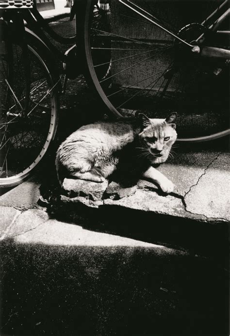 Daido Moriyama, Legendary Street Photographer, on How to Take a Snapshot | Literary Hub