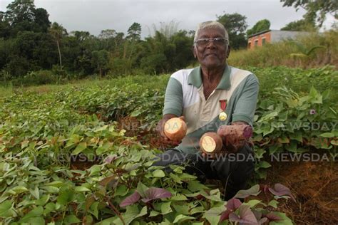 Sweet potato king: Ramdeo Boondoo gets Chaconia gold for life in ...