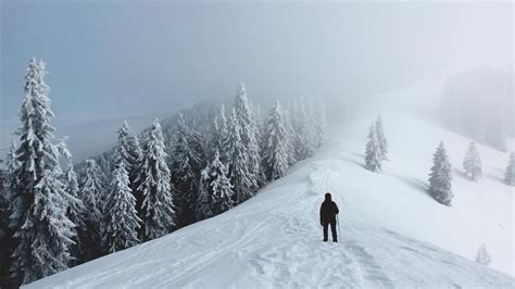 Hiking in the Alps : r/CampingandHiking