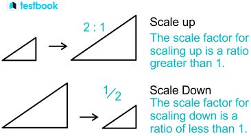 Scale Factor: Definition, Types, Formula with Examples