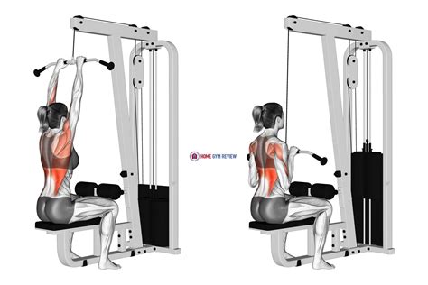 Cable Close-Grip Front Lat Pulldown (female) - Home Gym Review