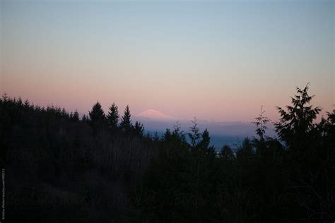 "Tree Line Silhouette At Sunset" by Stocksy Contributor "Kristine Weilert" - Stocksy