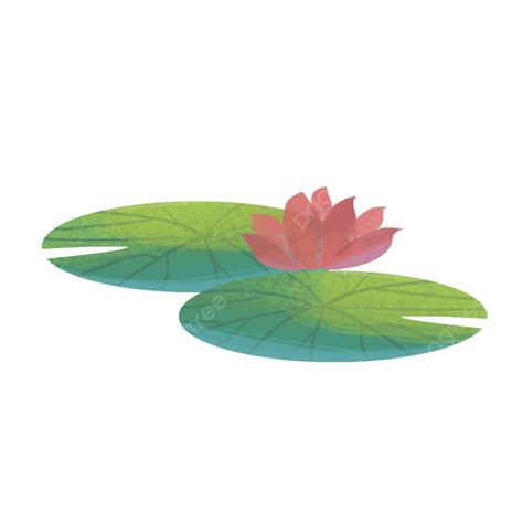 Lotus Leaf Lotus, Lotus Leaf, Lotus, Plant PNG Transparent Clipart Image and PSD File for Free ...