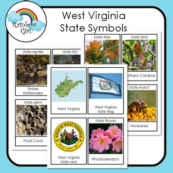 West Virginia State Symbols by Rainbow Girl | Teachers Pay Teachers