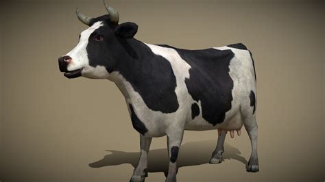 3DRT - domestic animals - cow - Buy Royalty Free 3D model by 3DRT.com ...