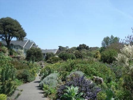 Ventnor Botanic Gardens | Follow The Brown Signs