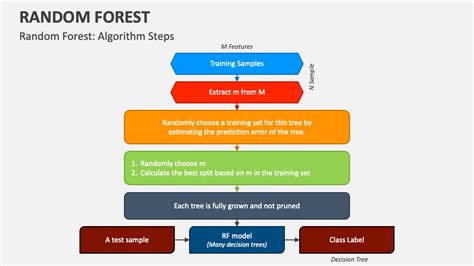 Random Forest PowerPoint and Google Slides Template - PPT Slides