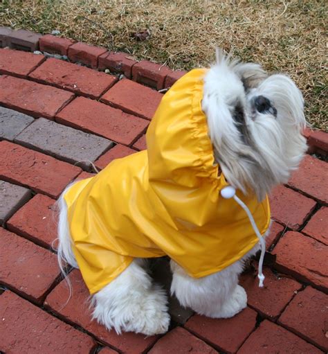 Wet Look Dog Raincoat with Hood -- to be custom made for your small pup. $30.00, via Etsy ...