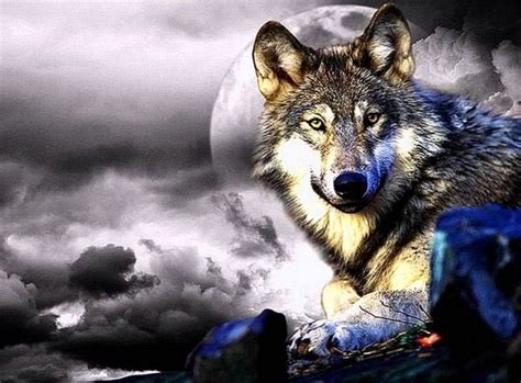 Awesome Wolf Wallpapers free download