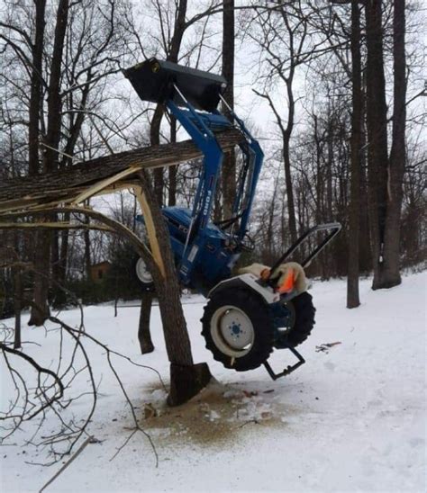 7 EPIC Barber Chair Tree Videos: Tree Trunks Splitting Vertically