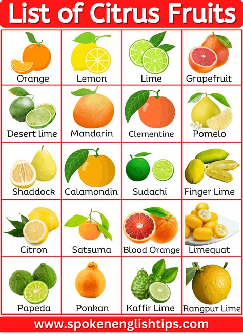 40+ List of Citrus fruits Name With Pictures | Citrus fruit list, Fruit ...