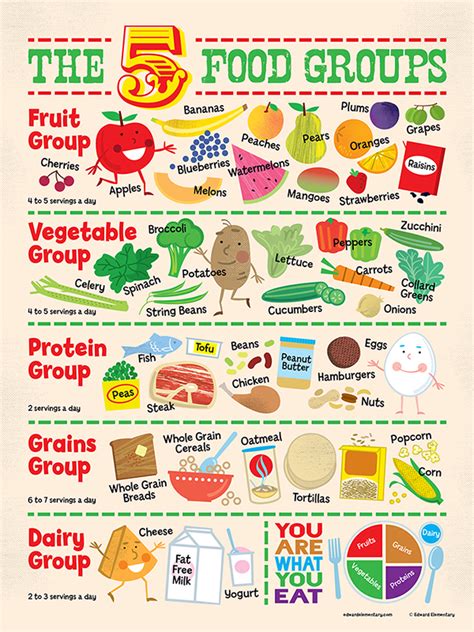 Food Groups Poster on Behance | Group meals, Food groups for kids, Healthy food chart