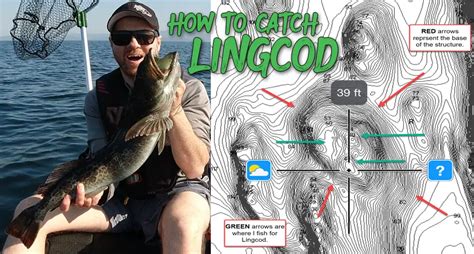 How to catch Lingcod via habitat and gear - BC Fishing Journal