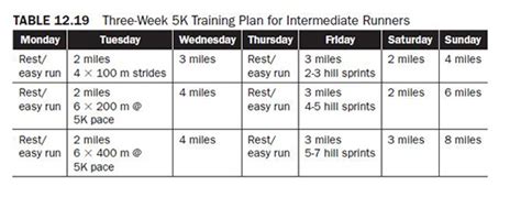 Top Notch Tips About How To Improve Anaerobic Endurance - Mountainpackage