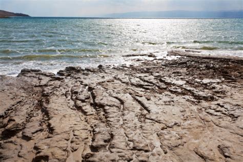 Mud Beach Of Dead Sea In Jordan Stock Photo - Download Image Now - iStock