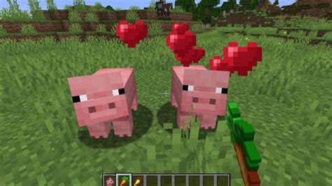 Minecraft: Pig - How to Breed