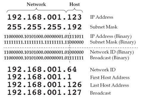 voor mij Effectiviteit serveerster how to identify subnet mask from ip address ontwikkelen ...