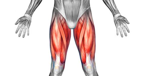 Front Thigh Pain | Anterior Thigh Pain Symptoms, Causes & Treatment