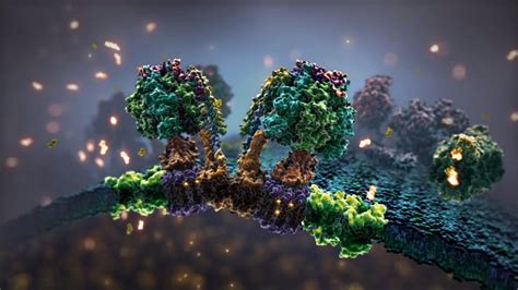 Molecular Animation: Where Cinema and Biology Meet - The New York Times