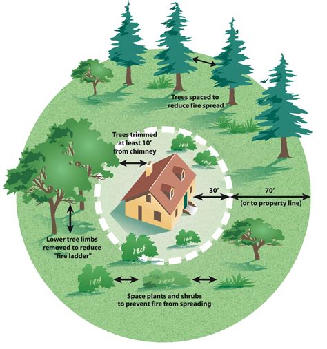 Before, During and After a Wildfire | North State Parent magazine