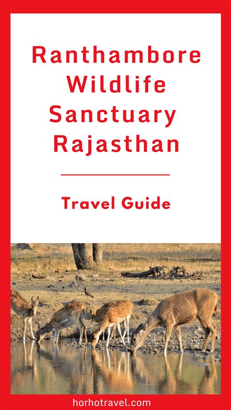 Ranthambore Wildlife Sanctuary – How to Plan your Tour?