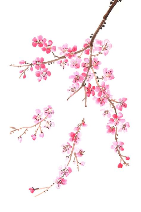 Pin on macetas | Plum blossom painting, Flower painting, Blossoms art